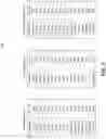 Fig. 07 - Parallel dynamic aggregation system and method