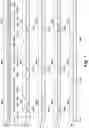 Fig. 04 - Acceleration of data queries in memory
