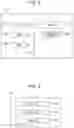 Fig. 03 - INFORMATION PROCESSING APPARATUS AND NON-TRANSITORY COMPUTER READABLE MEDIUM