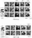 Fig. 10 - Method and system for breaking backdoored classifiers through adversarial examples