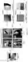 Fig. 11 - Method and system for breaking backdoored classifiers through adversarial examples