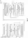 Fig. 12 - DATA LOSS PROTECTION ON SECONDARY DISPLAYS