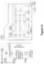 Fig. 12 - METHOD AND APPARATUS FOR AUTOMATED DIGITAL RIGHTS ENFORCEMENT AND MANAGEMENT METHODS