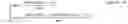 Fig. 124 - METHOD FOR CONSTRUCTING A FREE TRAJECTORY OF A BALLISTIC MISSILE AT A SPECIFIED LAUNCH ANGLE