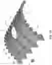 Fig. 03 - MULTI SURFACE PATTERNING DRIVEN BY CURVE(S)