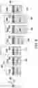 Fig. 08 - Flexible Cell Height Layout Architecture