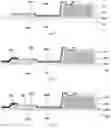 Fig. 05 - Fingerprint identification module, method for manufacturing fingerprint identification module, display substrate and display device