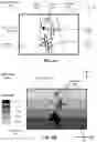 Fig. 09 - Ground Plane Compensation in Identifying and Treating Plants