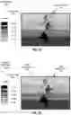 Fig. 13 - Ground Plane Compensation in Identifying and Treating Plants