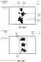 Fig. 24 - Ground Plane Compensation in Identifying and Treating Plants