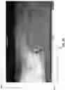 Fig. 05 - Machine learning in video classification with playback highlighting