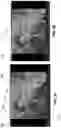 Fig. 12 - Machine learning in video classification with playback highlighting