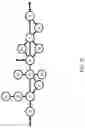 Fig. 13 - Automated Proximity Discovery of Networked Cameras