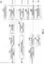 Fig. 05 - SURVEILLANCE DEVICE, SURVEILLANCE SYSTEM, COMPUTER-READABLE MEDIUM HAVING RECORDED THEREON PROGRAM, AND METHOD