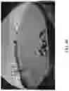 Fig. 10 - Vehicular vision system with object classification