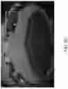Fig. 13 - Vehicular vision system with object classification