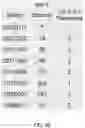Fig. 19 - Vehicular vision system with object classification