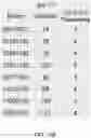 Fig. 31 - Vehicular vision system with object classification