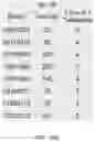 Fig. 33 - Vehicular vision system with object classification