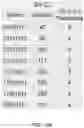 Fig. 37 - Vehicular vision system with object classification