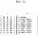 Fig. 06 - METHOD AND APPARATUS FOR ANALYZING NEURAL NETWORK PERFORMANCE
