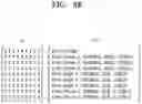 Fig. 08 - METHOD AND APPARATUS FOR ANALYZING NEURAL NETWORK PERFORMANCE