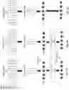 Fig. 06 - NEAR MEMORY SPARSE MATRIX COMPUTATION IN DEEP NEURAL NETWORK