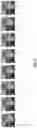 Fig. 06 - VIDEO SYNTHESIS WITHIN A MESSAGING SYSTEM