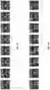 Fig. 07 - VIDEO SYNTHESIS WITHIN A MESSAGING SYSTEM