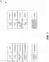 Fig. 08 - NEURAL NETWORK TRAINING USING ROBUST TEMPORAL ENSEMBLING