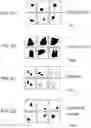 Fig. 03 - NEURAL NETWORK SYSTEMS FOR ABSTRACT REASONING