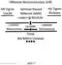 Fig. 09 - Continuously learning and optimizing artificial intelligence (AI) adaptive neural network (ANN) computer modeling methods and systems