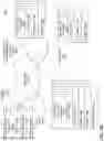Fig. 12 - NEURAL NETWORK TRAINING WITH BIAS MITIGATION