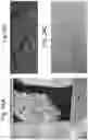 Fig. 48 - Scale-up toroidal array quantum processing memory device with controllable and adjustable state-switch valves of making and applications thereto