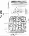 Fig. 59 - Scale-up toroidal array quantum processing memory device with controllable and adjustable state-switch valves of making and applications thereto