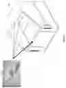 Fig. 05 - WASTE MANAGEMENT DEVICE