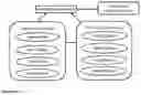 Fig. 51 - Apparatus and method for cybersecurity