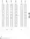 Fig. 07 - Method and system for detecting fraudulent transactions