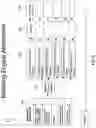 Fig. 09 - Biometric pre-identification