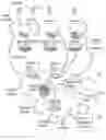 Fig. 03 - SYSTEM AND METHOD FOR INCENTIVIZING REPEAT TRANSACTIONS WITH MERCHANTS WITHIN A PRESCRIBED GEOGRAPHIC AREA USING PAYMENT PROCESSING NETWORK DATA