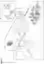 Fig. 02 - System and method for disseminating information to consumers