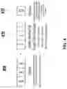Fig. 06 - Methods for electronically processing insurance claims and devices thereof