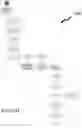 Fig. 43 - ACTIONABLE VERIFIABLE MICRO-CROWD SOURCING