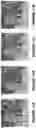 Fig. 14 - Refining image acquisition data through domain adaptation