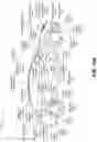 Fig. 11 - FOURIER TRANSFORM-BASED IMAGE SYNTHESIS USING NEURAL NETWORKS