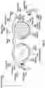 Fig. 04 - Eyewear distortion correction
