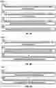 Fig. 09 - Eyewear distortion correction