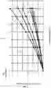 Fig. 06 - Virtual Stress Test Based on Electronic Patient Data