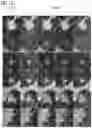 Fig. 09 - Providing a classification explanation and a generative function