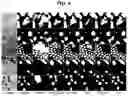 Fig. 05 - Method for cell image segmentation using scribble labels, recording medium and device for performing the method